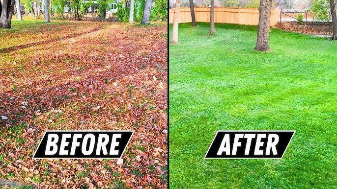 Expert Fall Spring Clean Up Services | Dedham, MA