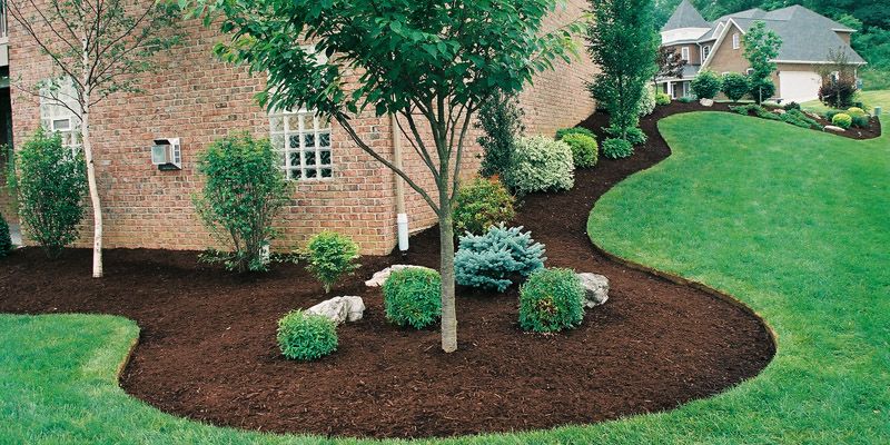 Beautiful Landscaping Services for Dedham Homes | Omar